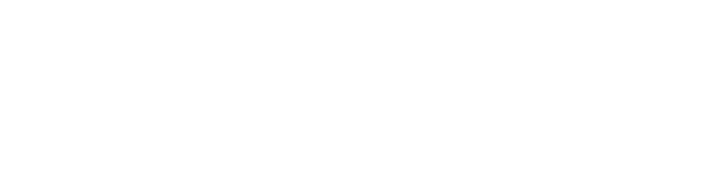CCKO Favicon